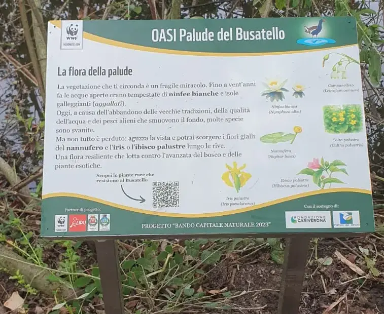 Volontari alla giornata di segnaletica e manutenzione all'Oasi del Busatello